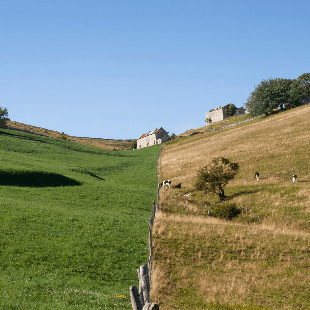 Le bornage - contentieux fonciers