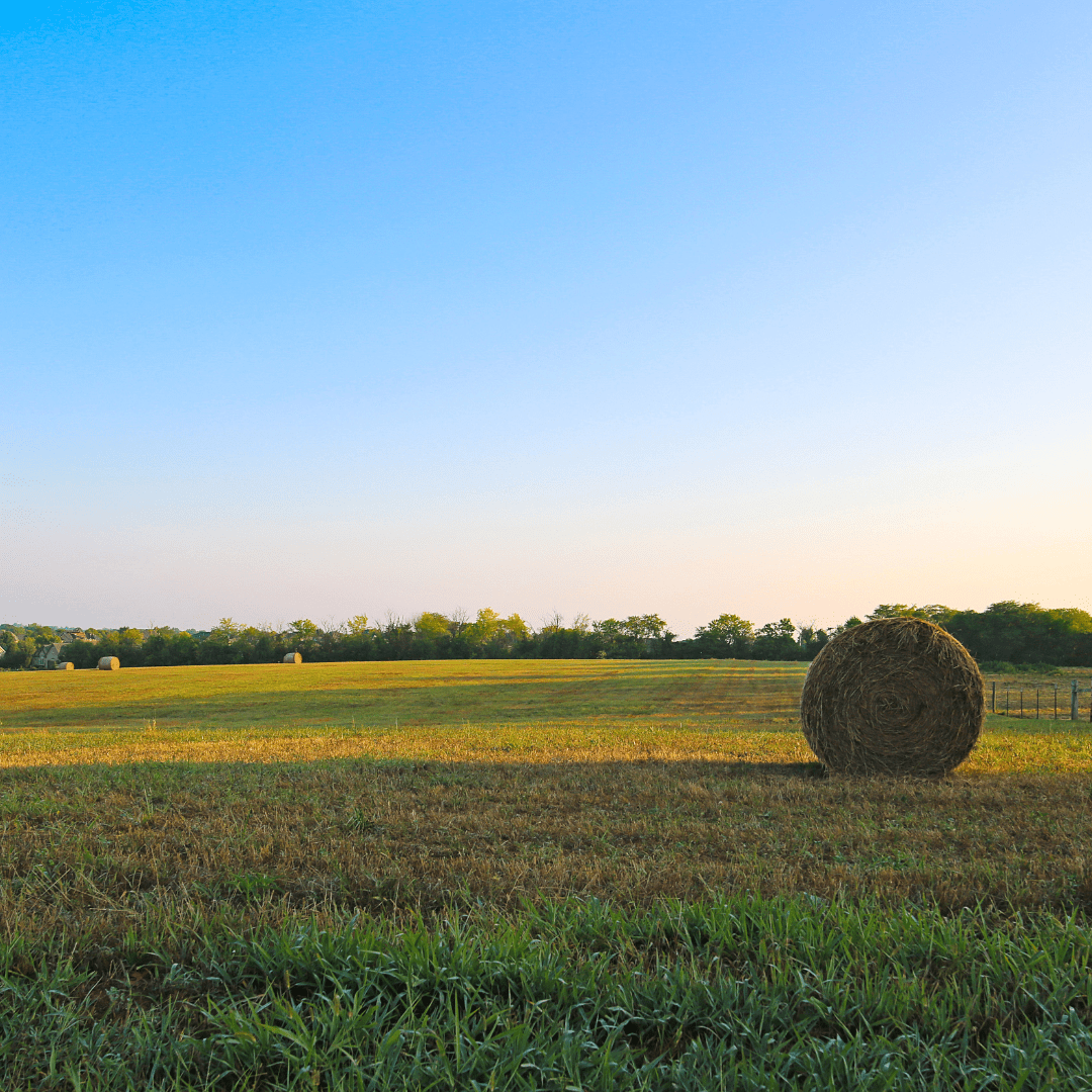 Foncier rural